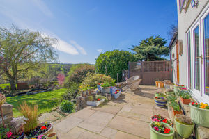 Photo 38- click for photo gallery